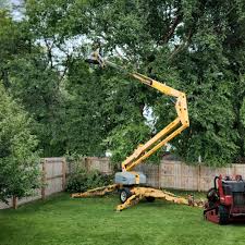 Best Firewood Processing and Delivery  in Dellwood, MN