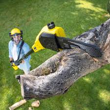 Best Lawn Irrigation Installation and Maintenance  in Dellwood, MN